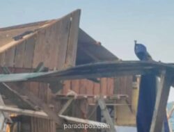 Angin Kencang Rusak 92 Rumah di Lingga dan Dairi, BNPB Kerahkan Tim Darurat