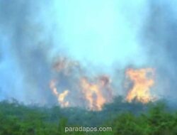 Gubernur Jambi Aktifkan 82 Pos Siaga Karhutla Antisipasi Puncak Kemarau 2026
