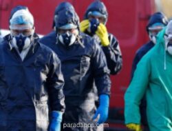 Australia Konfirmasi Kasus Pertama Flu Burung H5 pada Burung Migran Liar