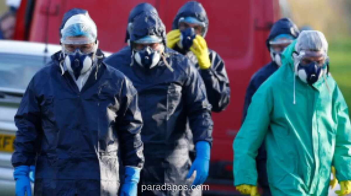 Australia Konfirmasi Kasus Pertama Flu Burung H5 pada Burung Migran Liar