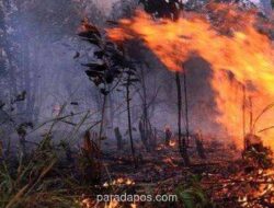 BMKG Peringatkan Musim Kemarau 2026 Lebih Panjang dan Kering, Puncaknya pada Agustus