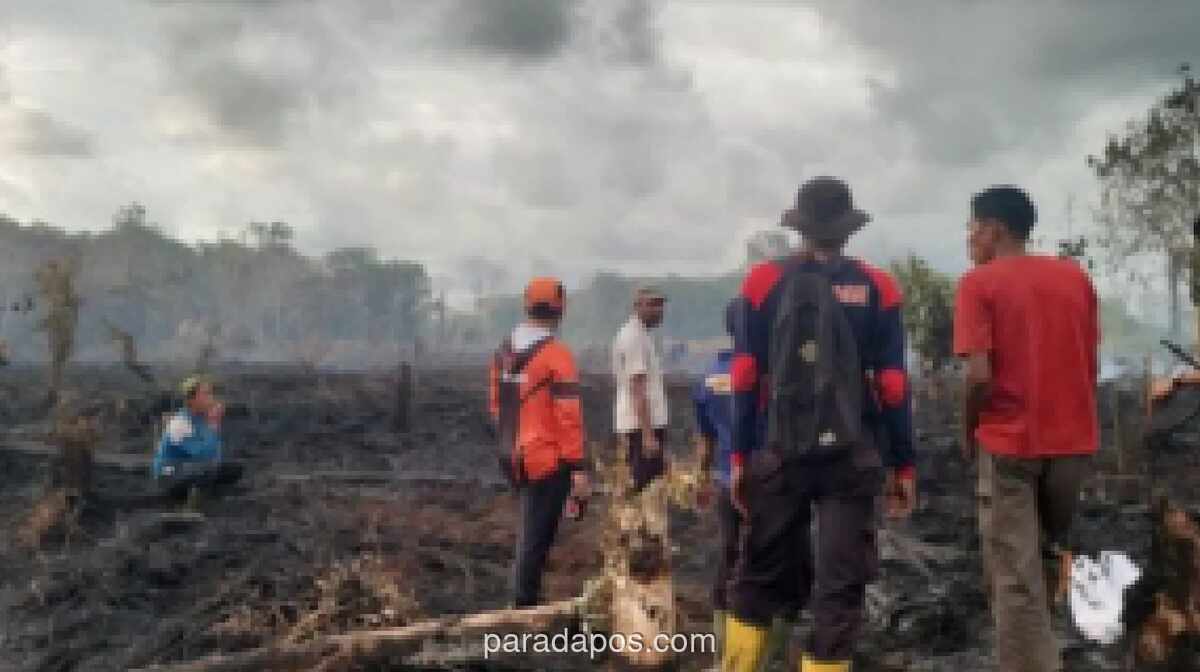 BNPB: 80 Persen Karhutla di Aceh Barat Berhasil Dipadamkan, Angin Kencang Jadi Kendala