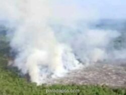 154 Kejadian Karhutla di Sumsel Terjadi Sejak Awal Tahun, PALI Catat Kasus Tertinggi