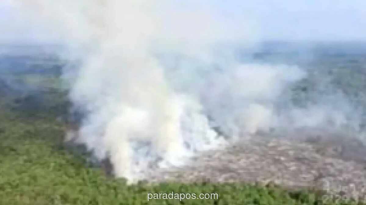 154 Kejadian Karhutla di Sumsel Terjadi Sejak Awal Tahun, PALI Catat Kasus Tertinggi