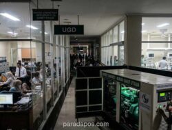 Pemadaman Listrik Ganggu Aktivitas Ekonomi, Genset Jadi Solusi Strategis Jaga Operasional Bisnis