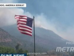 Tiga Petugas Pemadam Tewas Terjebak Pusaran Api saat Padamkan Kebakaran Hutan di Colorado