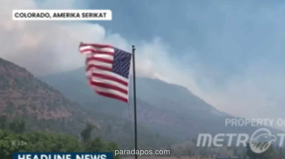 Tiga Petugas Pemadam Tewas Terjebak Pusaran Api saat Padamkan Kebakaran Hutan di Colorado