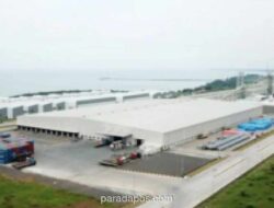 KITB Gandeng KKP untuk Penataan Pesisir dan Pelestarian Ekosistem Laut di Kawasan Industri Batang