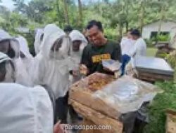 Dari Tambang Batu Jadi Oase Hijau: Lembah Suhita Hadirkan Wisata Edukasi Lebah Madu di Bandar Lampung