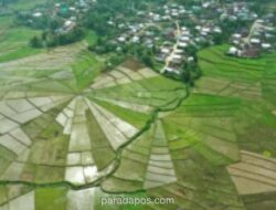 75.266 Desa Didorong Jadi Pusat Pertumbuhan Ekonomi dan Ketahanan Pangan Nasional