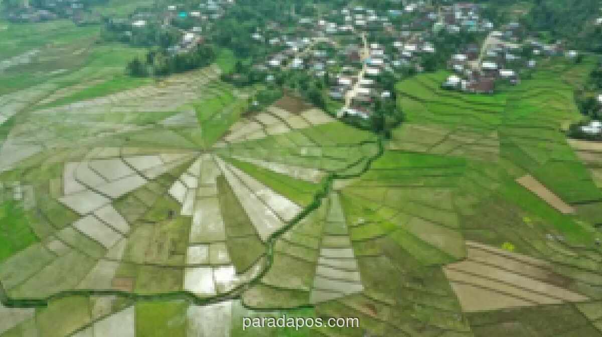 75.266 Desa Didorong Jadi Pusat Pertumbuhan Ekonomi dan Ketahanan Pangan Nasional