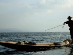 Pemprov Papua Perkuat Hilirisasi Perikanan dengan Infrastruktur Rantai Dingin dan Kampung Nelayan Terpadu