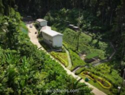 IWIP Resmikan Sanctuary Park 11 Hektare di Halmahera Tengah untuk Lindungi Keanekaragaman Hayati