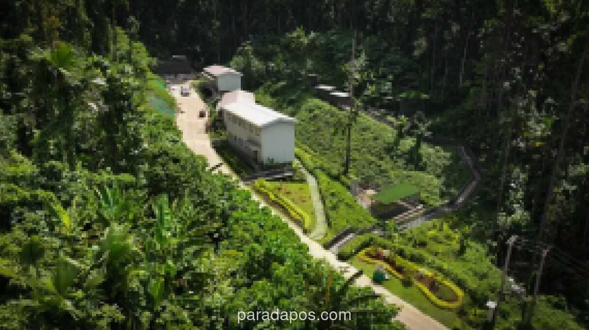 IWIP Resmikan Sanctuary Park 11 Hektare di Halmahera Tengah untuk Lindungi Keanekaragaman Hayati