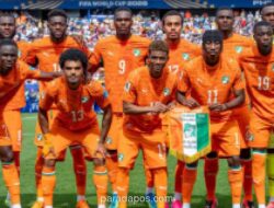 Pelatih Pantai Gading Sesali Hilangnya Konsentrasi di Menit Akhir Usai Takluk 1-2 dari Norwegia di Piala Dunia 2026