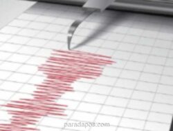 Gempa Magnitudo 7,7 Guncang Sulawesi Utara, BMKG Keluarkan Peringatan Tsunami untuk Lima Wilayah