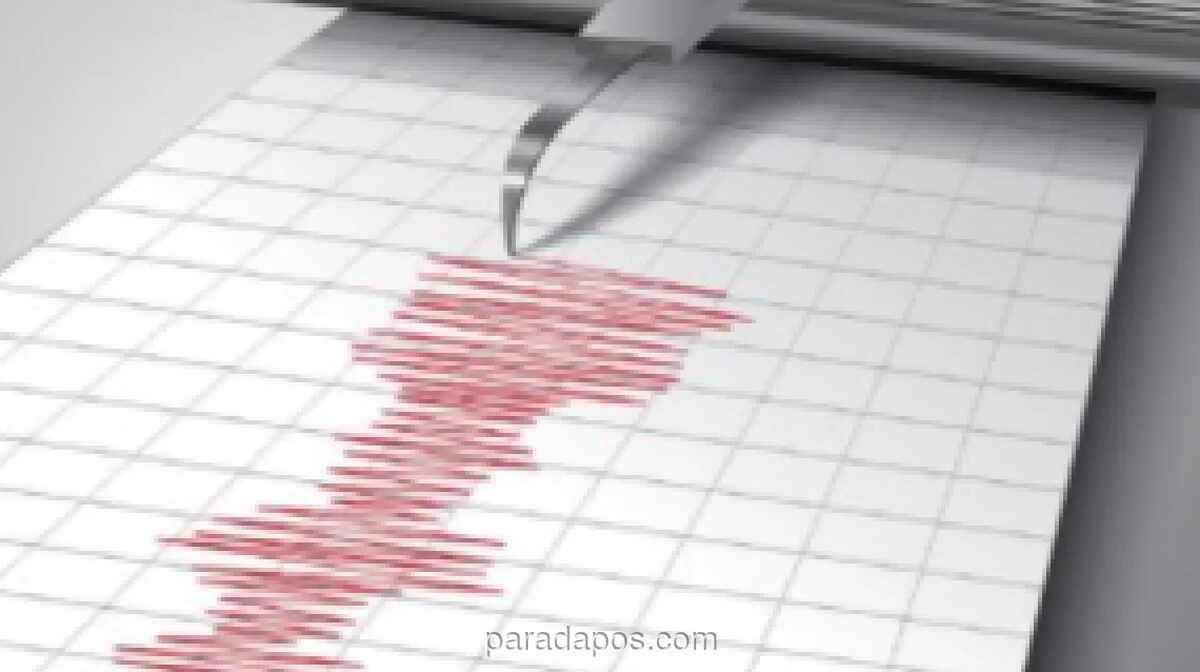 Gempa Magnitudo 7,7 Guncang Sulawesi Utara, BMKG Keluarkan Peringatan Tsunami untuk Lima Wilayah