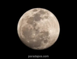 BMKG Peringatkan Potensi Banjir Rob di NTT Akibat Super New Moon 15 Juni 2026