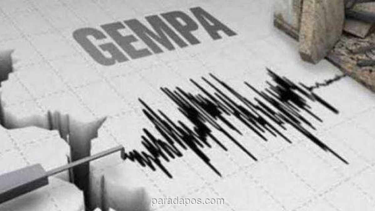 Gempa Magnitudo 3,7 Guncang Timur Laut Jayapura, BMKG Pastikan Belum Ada Kerusakan