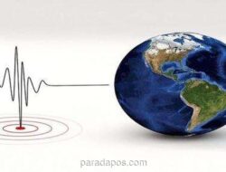 Gempa Magnitudo 5,3 Guncang Maluku Barat Daya, BMKG Pastikan Tidak Berpotensi Tsunami