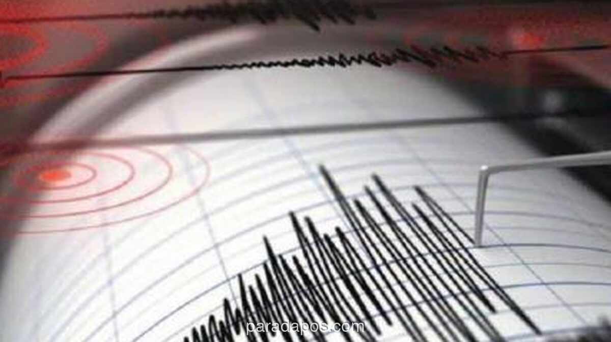 Gempa Susulan Magnitudo 6,5 Guncang Sangihe, 11 Menit Setelah Gempa Utama M7,7