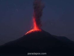 Gunung Lewotobi Laki-Laki Erupsi, Luncurkan Abu Vulkanik Setinggi 1.500 Meter
