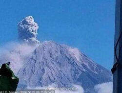 Gunung Semeru Erupsi, Kolom Abu Vulkanik Capai 1.200 Meter, Status Siaga
