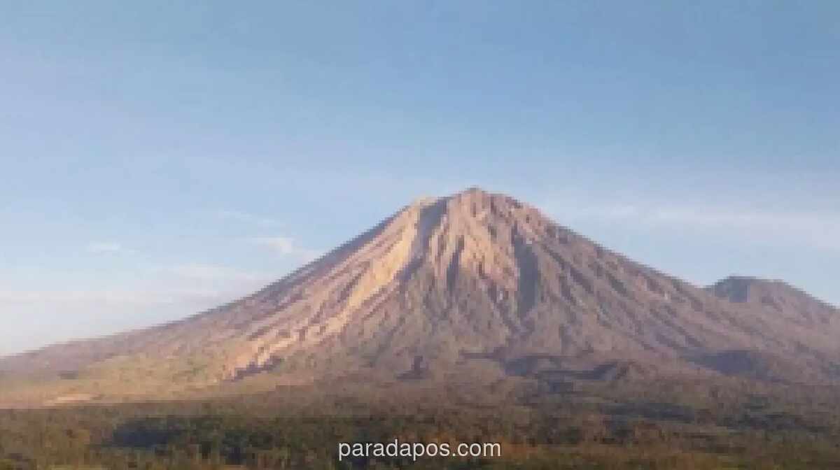 BPBD Lumajang Imbau Warga Tingkatkan Kewaspadaan Usai Gunung Semeru Luncurkan Awan Panas
