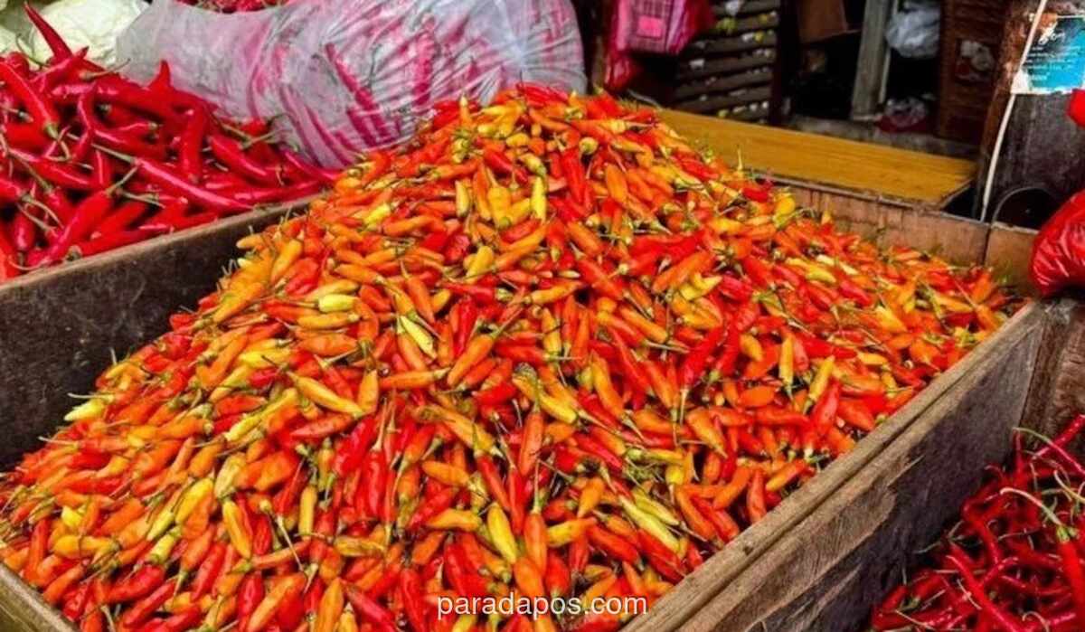 Harga Cabai Rawit Merah Tembus Rp68.000 per Kilogram, Telur Ayam Bertahan di Rp28.500