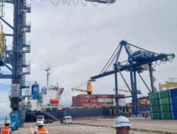 PT Temas Tbk Bagikan Dividen Rp228 Miliar, Laba Bersih Tertekan Penurunan 23 Persen