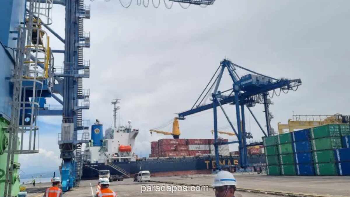 PT Temas Tbk Bagikan Dividen Rp228 Miliar, Laba Bersih Tertekan Penurunan 23 Persen