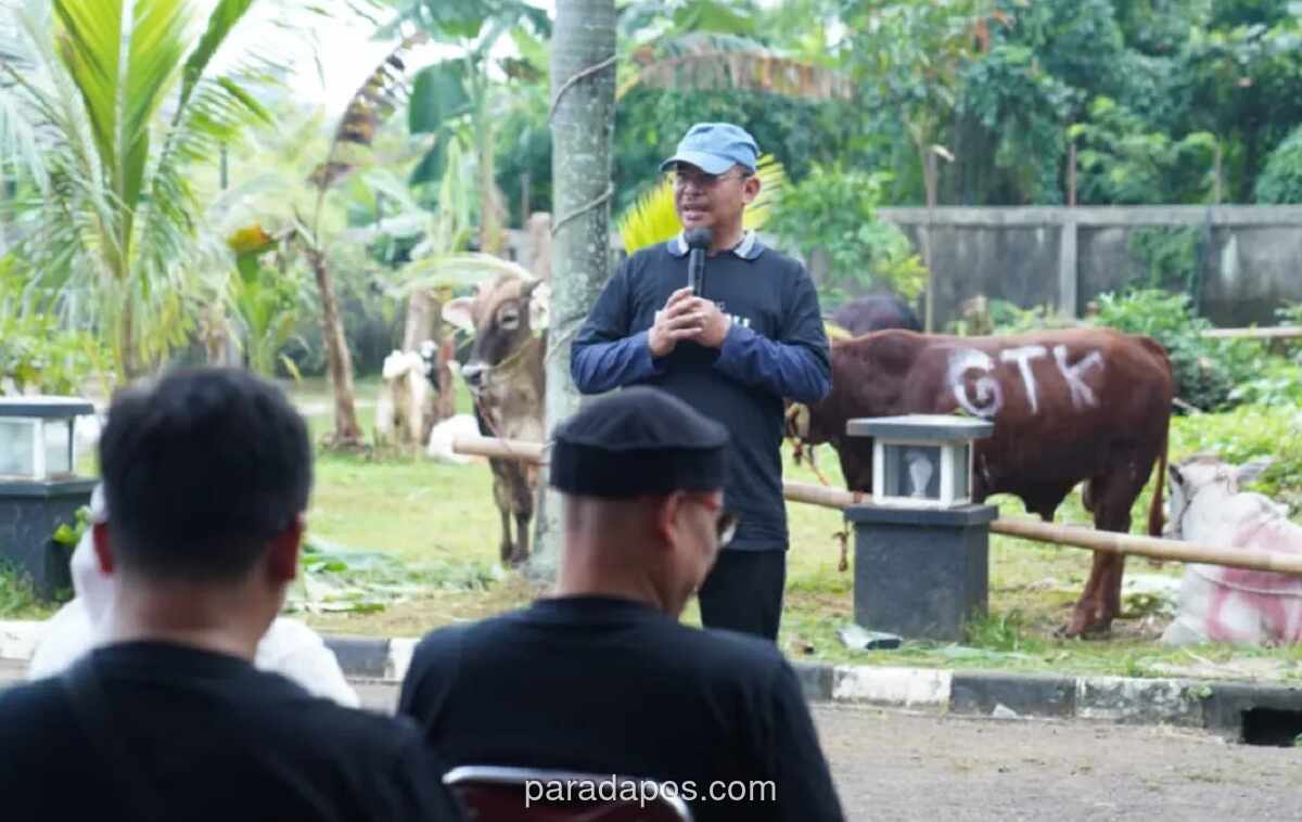 Kemenag Sembelih 18 Hewan Kurban, 1.200 Paket Daging Dibagikan ke Anak Yatim dan Santri