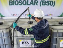 IESR Desak Pemerintah Tinjau Ulang Kebijakan B50 karena Berpotensi Membengkakkan Biaya Energi dan Ganggu Pasokan Pangan