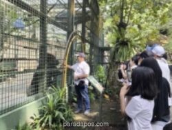 Pemprov DKI Gratiskan Tiket Ancol, Ragunan, dan Monas serta Tarif Rp1 Transportasi Umum pada 22, 27, dan 28 Juni 2026
