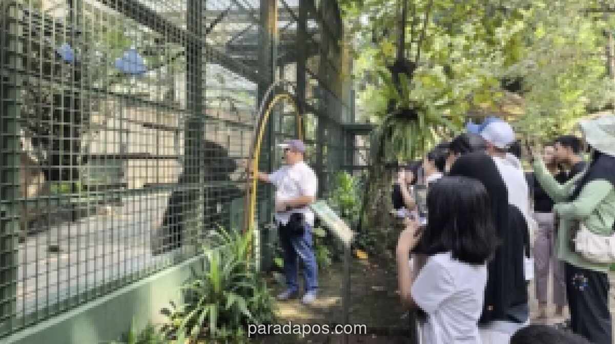 Pemprov DKI Gratiskan Tiket Ancol, Ragunan, dan Monas serta Tarif Rp1 Transportasi Umum pada 22, 27, dan 28 Juni 2026
