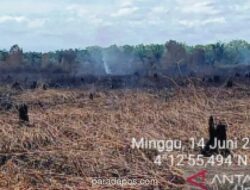 Kebakaran Hutan di Aceh Barat Meluas hingga 34 Hektare, Enam Kecamatan Terdampak
