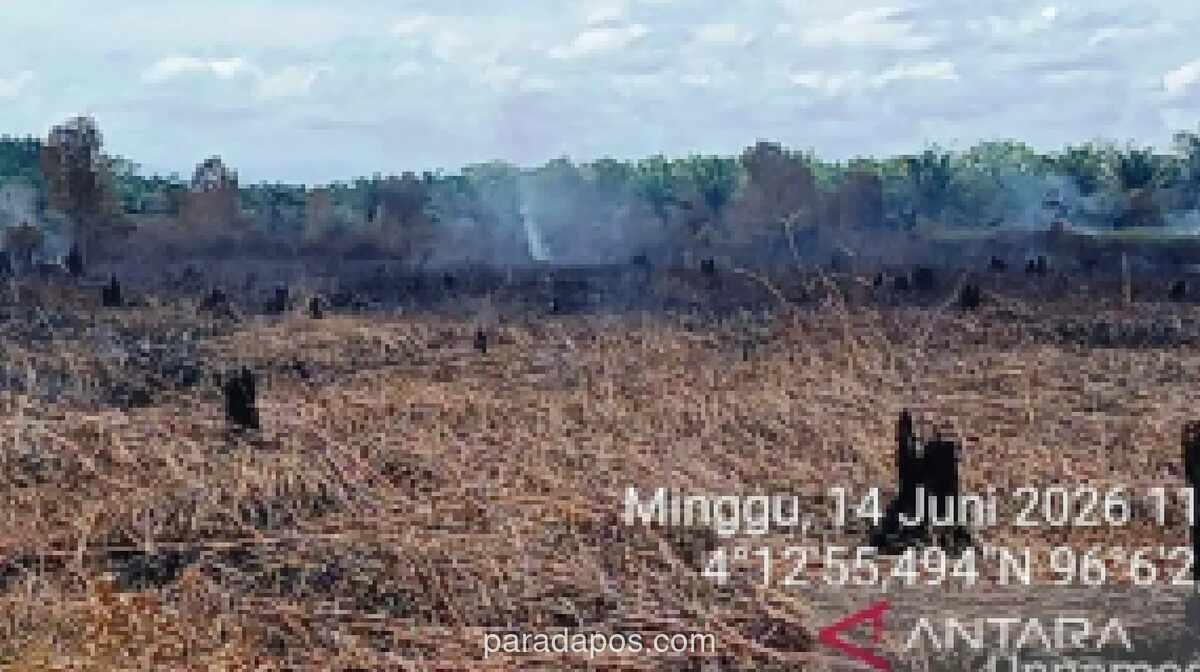 Kebakaran Hutan di Aceh Barat Meluas hingga 34 Hektare, Enam Kecamatan Terdampak