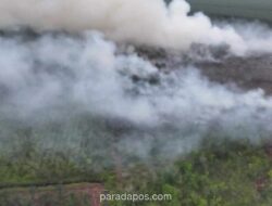 Kebakaran Hutan dan Lahan di Riau Capai 15.318 Hektare hingga Mei 2026, Didominasi Lahan Gambut