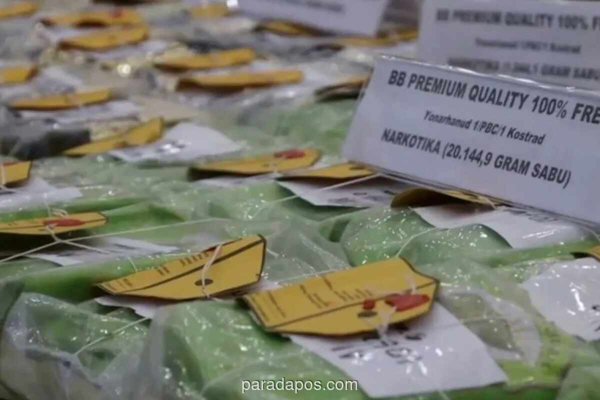 Kepala Staf Kepresidenan: Pengungkapan 59 Jaringan Narkotika dan Sita 200 Ton Barang Bukti Bukti Komitmen Nyata Pemerintah