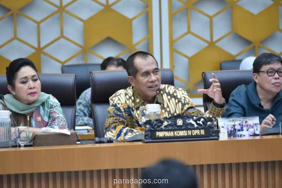 Wakil Ketua Komisi IV DPR Ingatkan Publik Tak Mudah Terpengaruh Narasi Negatif yang Gerus Optimisme Swasembada Pangan