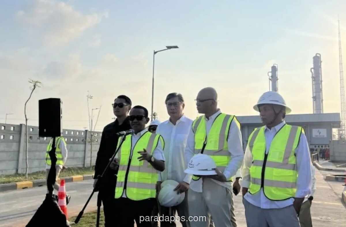 Menteri ESDM Pastikan Pasokan Batu Bara untuk PLTU Kembali Normal