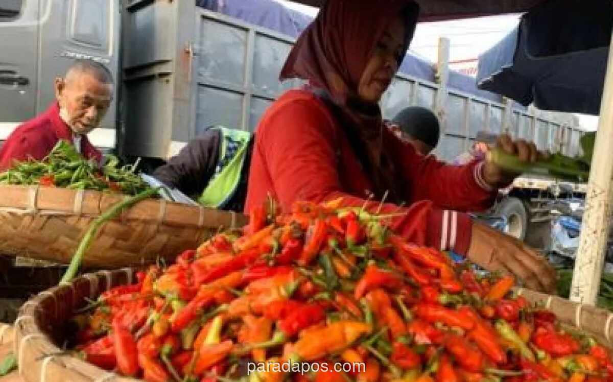 Bapanas: Harga Cabai dan Bawang Merah Fluktuatif, Petani di DIY Terpaksa Jual di Bawah HAP