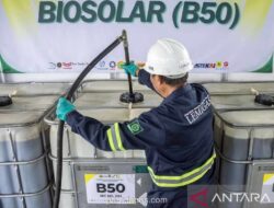 Pemerintah Targetkan B50 Mulai Juli 2026, Pengamat Ingatkan Harga Harus Kompetitif