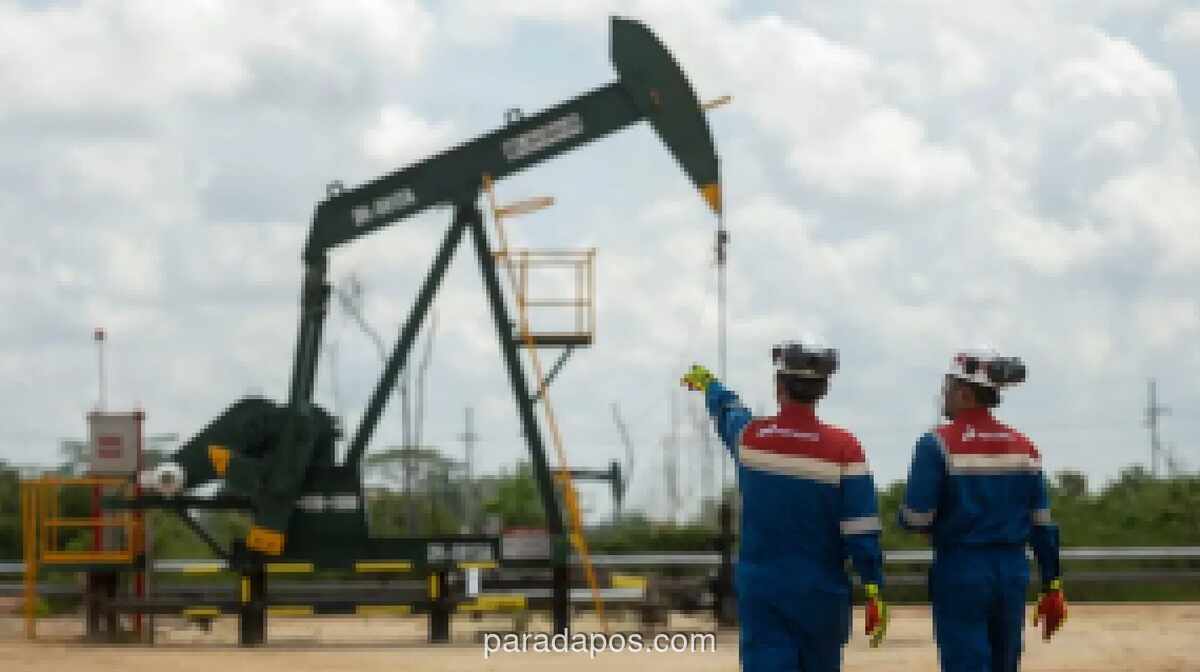 Pertamina Hulu Rokan Buka Pendaftaran Magang Batch 9, Targetkan Talenta Muda untuk Industri Hulu Migas
