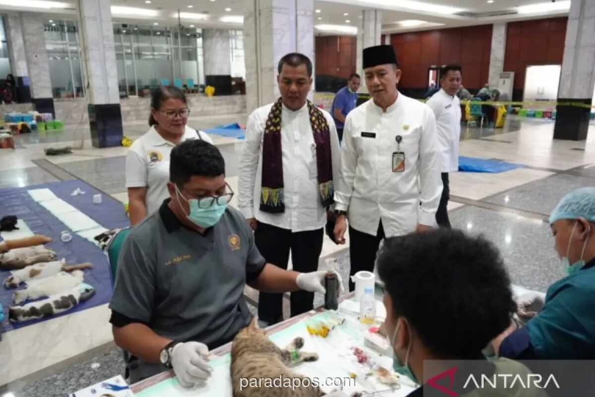 360 Kucing Disterilisasi dan Divaksinasi dalam EastJakFest 2026 di Jakarta Timur
