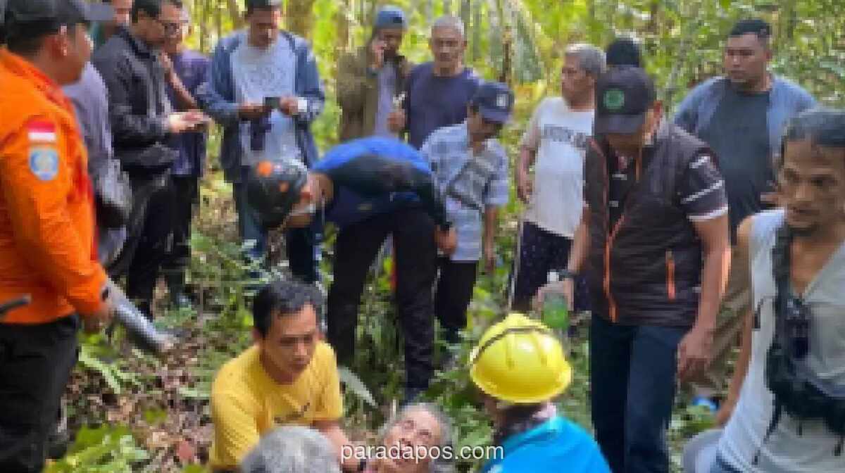 Tim SAR Temukan Nenek 68 Tahun yang Hilang di Hutan Bukit Belah Lingga dalam Kondisi Selamat
