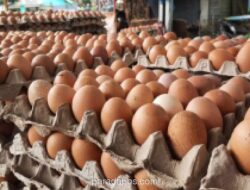 Harga Cabai Rawit Merah Tembus Rp74.550 per Kg, Telur Ayam Rp30.100 per Kg
