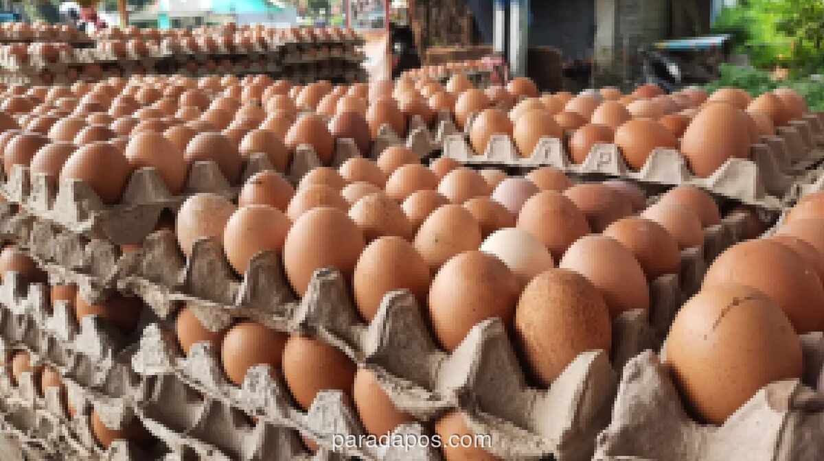 Harga Cabai Rawit Merah Tembus Rp74.550 per Kg, Telur Ayam Rp30.100 per Kg