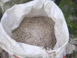 Pedagang Nasi Kuning di Sampit Tertipu Beli Beras Campur Pasir, Rugi Ratusan Ribu Rupiah