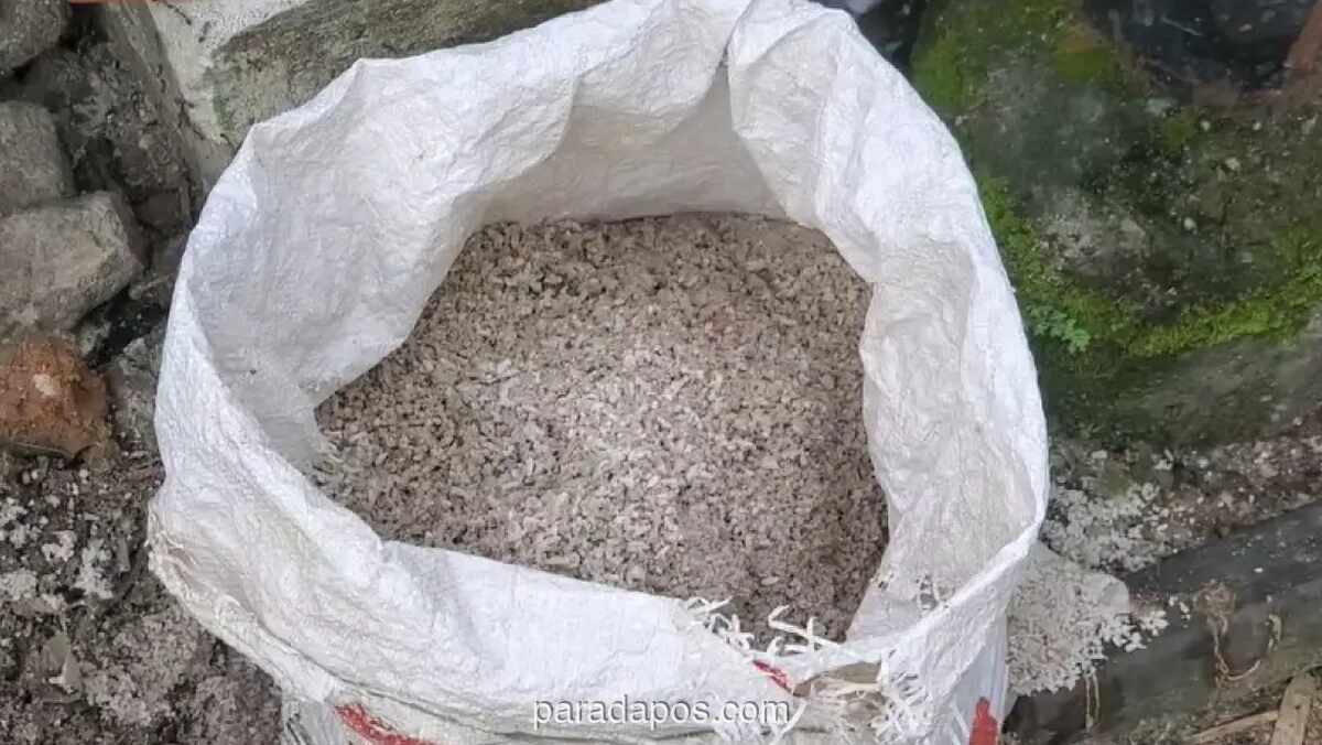 Pedagang Nasi Kuning di Sampit Tertipu Beli Beras Campur Pasir, Rugi Ratusan Ribu Rupiah